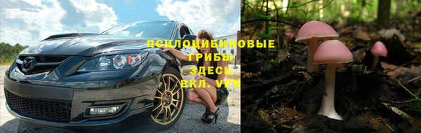 прущие крисы Балахна