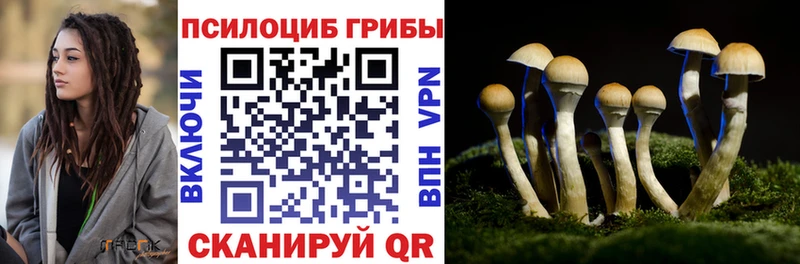 где купить наркоту  Невьянск  блэк спрут как зайти  Псилоцибиновые грибы Magic Shrooms 